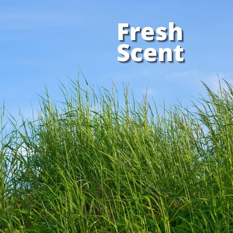 101109644_Good_Sense_Fresh_2x6x19g_alt2